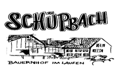 Logo Schübpach