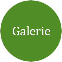 Galerie